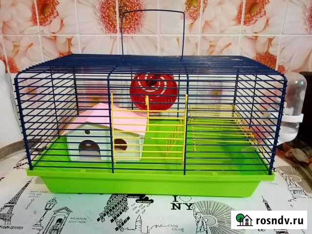 Клетка для грызунов Сызрань - изображение 1