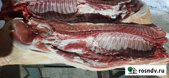 Свинина в полутушах Батайск - изображение 1