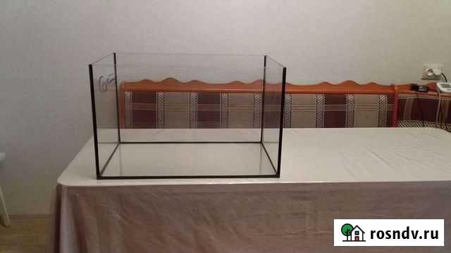 Аквариум Нижнекамск - изображение 1