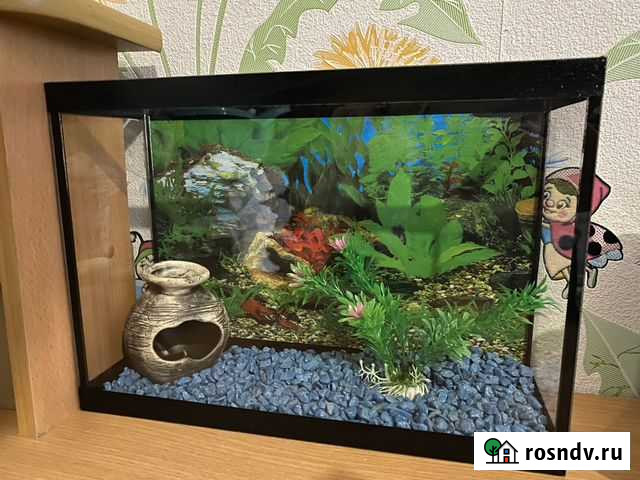 Украшение для аквариума Брянск - изображение 1