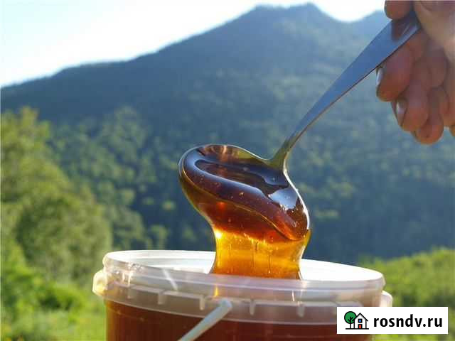 Алтайский горный мед из разнотравья Рубцовск - изображение 1