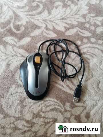 Компьютерная мышь Судогда - изображение 1