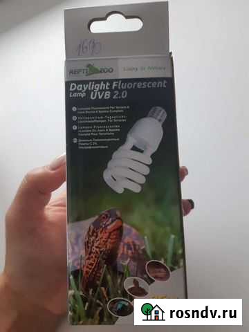 Лампа энергосберегающая Соликамск - изображение 1