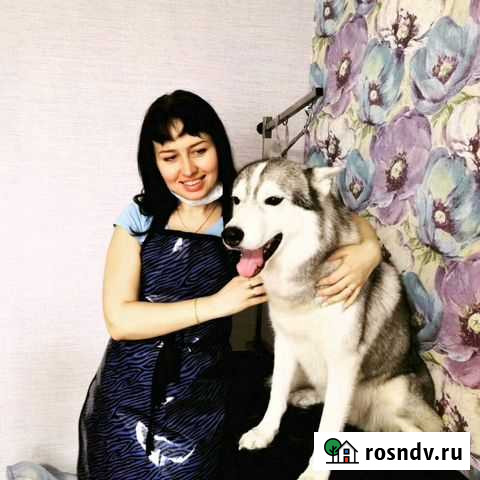 Груминг Лобня - изображение 1