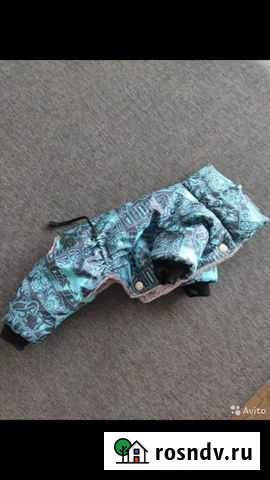 Комбензон для собак Тольятти - изображение 1