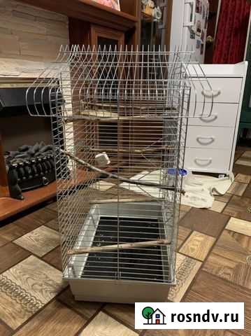 Клетка Вольгинский - изображение 1