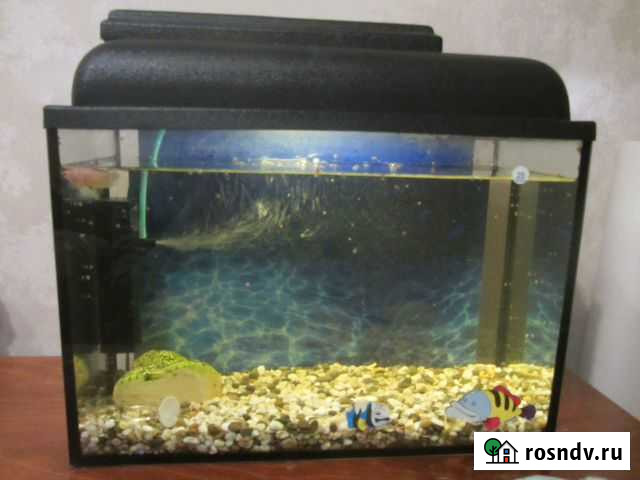 Аквариум 25 литров Саров - изображение 1