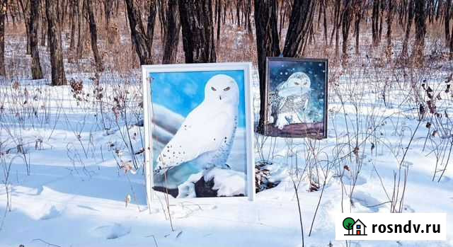 Пишу картины на заказ Благовещенск - изображение 1