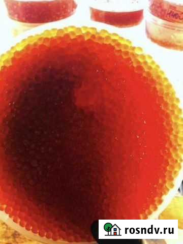 Икра красная Благовещенск - изображение 1