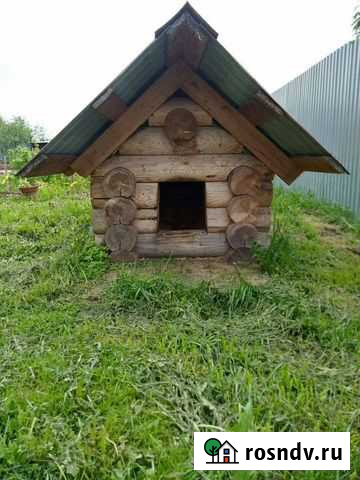 Канура Глазов - изображение 1