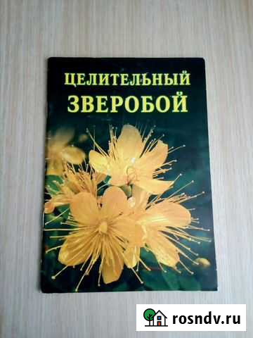 Целительный зверобой. Лечимся усом Екатеринбург - изображение 1