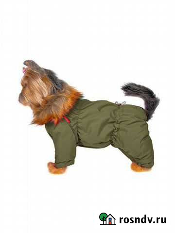 Комбинезон для собак doggs Паркур зимний Подольск - изображение 1
