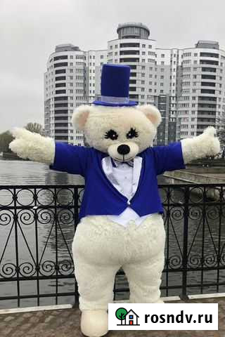 Экспресс поздравление с днём рождения, встреча из Калининград - изображение 1