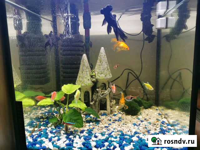 Продам аквариум 100л Омск - изображение 1