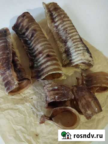 Лакомства для собак Ижевск - изображение 1