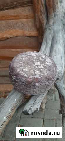 Сыр Канталь козий Коркино - изображение 1