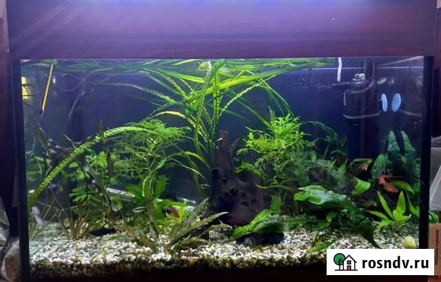 Аквариум 100л. комплект Сочи - изображение 1