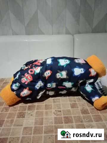 Зимний комбинезон Миасс - изображение 1