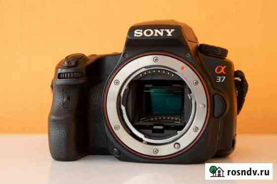 Зеркальный фотоаппарат Sony Alpha a37 (body) Челябинск