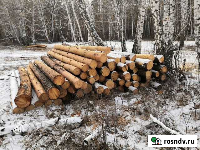 Продам лес кругляк пиловочник Пласт - изображение 1