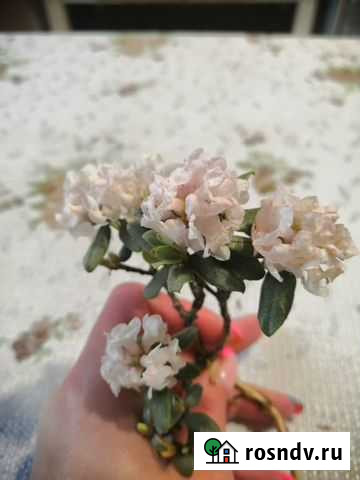 Саган-дайля Иркутск - изображение 1