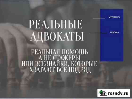Профессиональные Адвокаты с Реальным опытом Мурманск