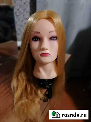 Голова учебная Жердевка - изображение 1