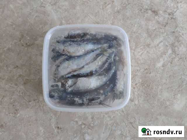 Рыба Якутская Благовещенск - изображение 1