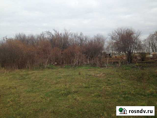 Участок СНТ, ДНП 29 сот. на продажу в Новотитаровской Новотитаровская - изображение 1