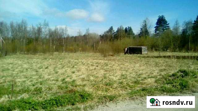 Участок СНТ, ДНП 10 сот. на продажу в Кузнечном Кузнечное - изображение 1