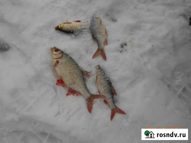 Дом 220 м² на участке 70 сот. на продажу в Среднем Икорце Средний Икорец - изображение 1