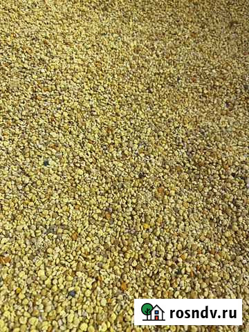 Пыльца 2021г Бийск - изображение 1