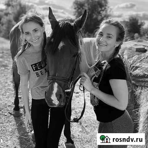 Уроки верховой езды Самара - изображение 1