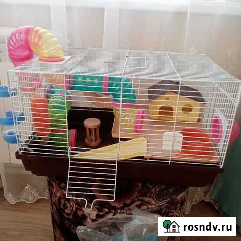 Клетка для грызунов Старый Оскол - изображение 1