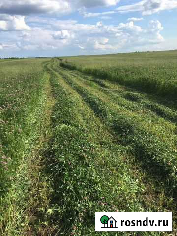 Сено в рулонах Арзамас - изображение 1