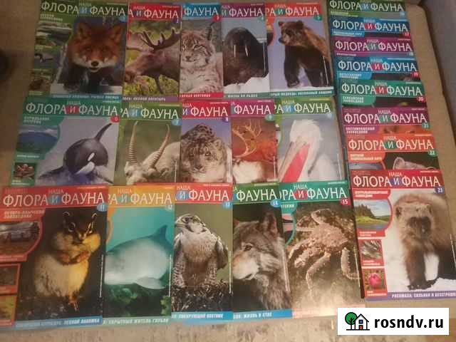 Журналы Наша флора и фауна, 23 выпуска в папке Рязань - изображение 1