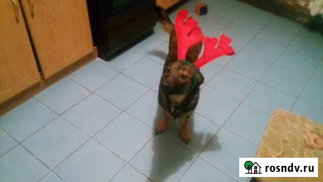 Ремонт квартир Калининград - изображение 1