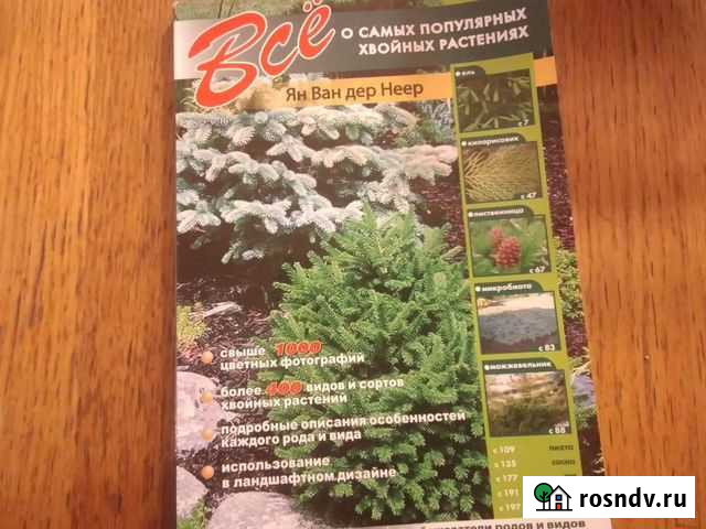 Все о самых популярных хвойных растениях Дедовск - изображение 1