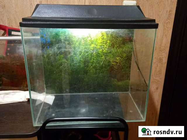 Аквариум Миасс - изображение 1