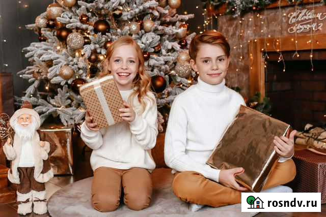 Новогодняя фотосессия Омск - изображение 1