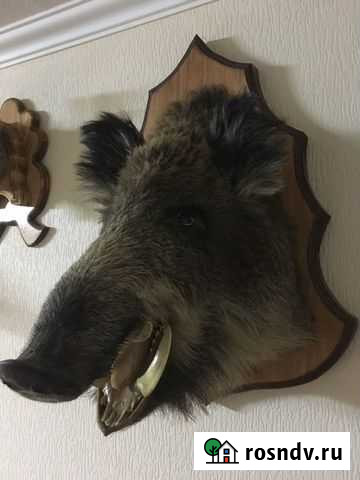 Чучело Чалтырь - изображение 1