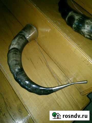 Рог тура обработанный, в отделке Нальчик - изображение 1