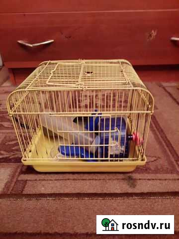 Клетка Нижний Тагил - изображение 1