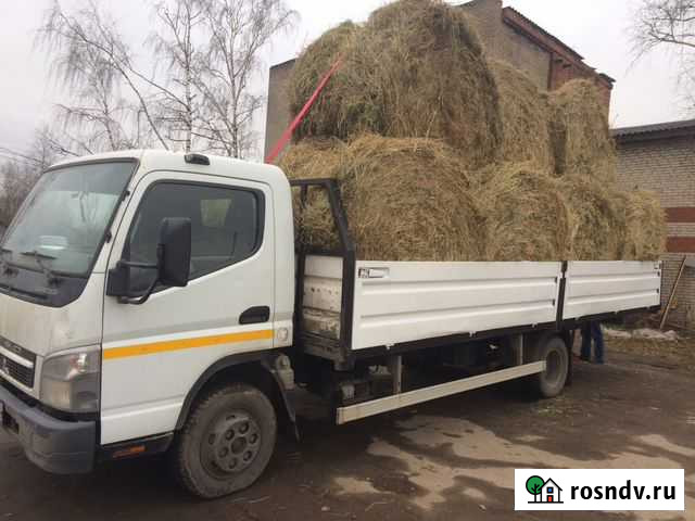 Продажа сена Лесной - изображение 1