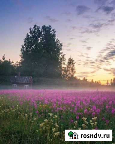 Репетитор по биологии Боровск - изображение 1