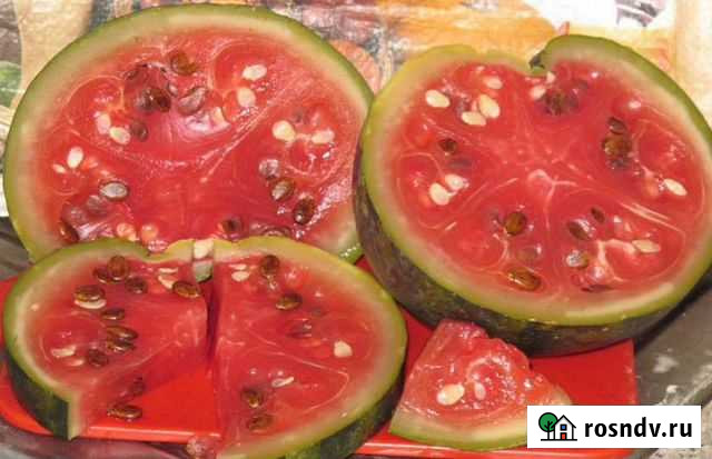 Арбузы соленые (бочковые) Батайск - изображение 1