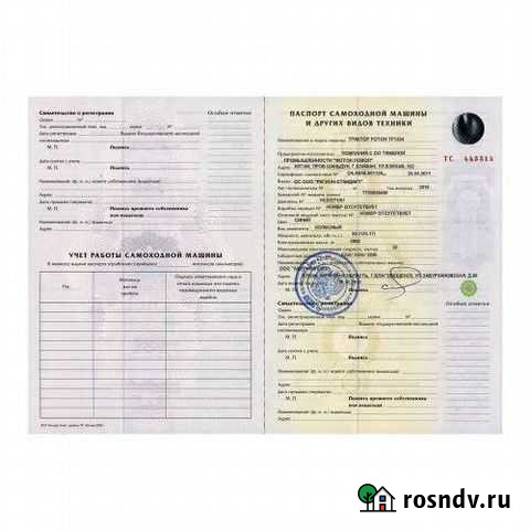 Птс стс на руках Омск - изображение 1