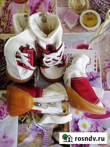 Обувь собаке Комсомольск-на-Амуре - изображение 1