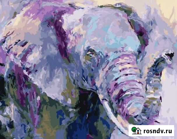 Картина по номерам слон Калининград - изображение 1