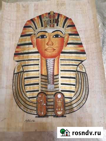 Папирусы Волгоград - изображение 1